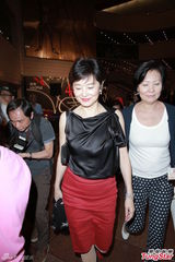 组图：林青霞盛装捧场刘晓庆 杨振宁携娇妻现身