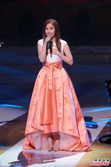 组图：赌王数百万支持太太 何超莲吴克羣献艺