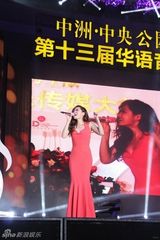 组图：群星亮相华语传媒大奖 汪峰获年度艺人奖