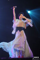 组图：王菲香港演唱会开场 刘嘉玲李亚鹏现身支持