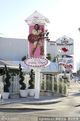 组图：辛妮-奥康娜四婚仅维持16日告终