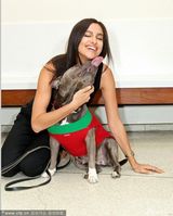 组图:C罗女友亮相圣诞活动 遭爱犬狂舔表情享受