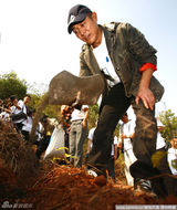 高清图：李连杰旱区栽种咖啡苗 为云南大地填沃土