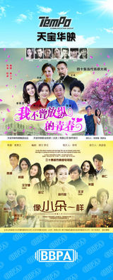 组图：2012年首都电视节目秋推会海报展示