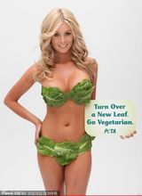 组图：女星斗艳菜叶清凉裹身 夏娃诱惑秀色可餐