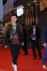 组图：电影华鼎奖红毯刘德华范冰冰等群星助阵