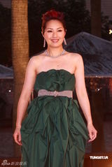 幻灯：香港金像奖颁奖红毯 杨千嬅绿裙典雅