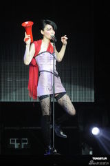 组图：王菲香港演唱会开场 刘嘉玲李亚鹏现身支持