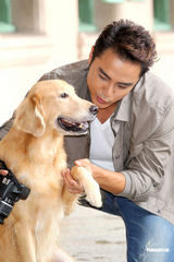 明道与猫狗亲密互动 现实中希望保有隐私权(图)