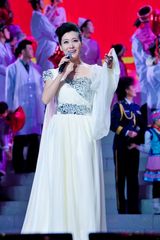 高清组图：双拥晚会 谭晶献唱《心心相印》