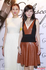 组图：应采儿挺6个月身孕 周慧敏优雅现身活动