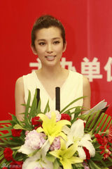 幻灯：李冰冰助阵公益论坛 宣扬绿色经济谈环保经