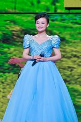 2012双拥晚会演出阵容