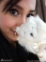 组图：黄晓明绯闻女友Angelababy美图集锦140张 