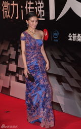 组图：2012新浪微博之夜红毯-侯璎珏紫色长裙