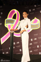组图：梁静任防乳癌大使 亮相粉红之夜点灯仪式