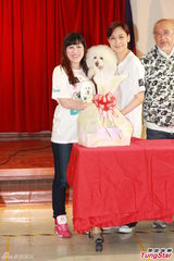 组图：邝美云携爱犬做慈善 自曝男友吃醋