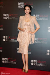 组图：张雨绮华丽礼服性感爆乳 英文对答如流