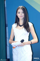 高清图：张梓琳主持学术慈善活动 分享工作心路历程