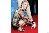 组图：欧美巨星晒宠物合照 天王天后大秀爱心