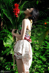 高清图集：桂纶镁热带雨林拍写真