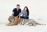 高清组图：梅根-福克斯夫妇与老虎同乐场面温馨