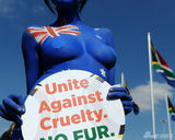 幻灯图：美女人体彩绘32强国旗 呼吁保护动物