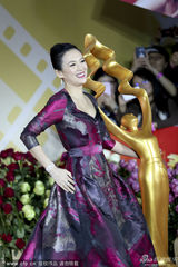 组图：章子怡大花紫裙花枝招展 古典发髻灿笑