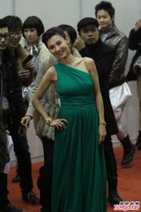 组图：关之琳张柏芝红毯比拼 李敏镐帅气亮相