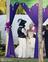 组图：名模海蒂高调庆婚 穿宫廷装露底大泄春光