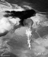 组图：准妈妈金-卡戴珊魅力大片狂野迷人