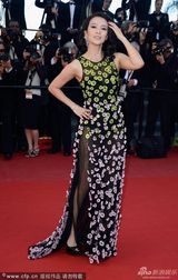 组图：章子怡黑底碎花透视装亮相 耳环耀眼