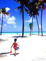 组图：陈浩民携妻女潜水 蒋丽莎性感泳装秀长腿