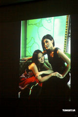 幻灯图：戴妮廷摄影展 陈冠希TWINS私房照曝光