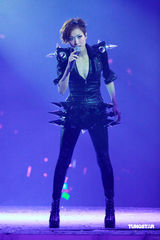 幻灯：郑秀文许志安相拥献唱 梁洛施李嘉欣捧场