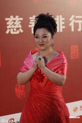 组图：孙悦现身慈善盛典被错认 窦骁刘烨同席零交流