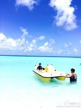 组图：陈浩民携妻女潜水 蒋丽莎性感泳装秀长腿