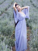 组图：张馨予微博晒花海写真 浪漫唯美