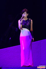 组图：梅艳芳逝世十周年 圈中好友登台悼念