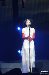 组图：王菲香港演唱会开场 刘嘉玲李亚鹏现身支持