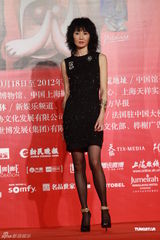 组图：张曼玉黑丝袜短裙亮相 刘烨携大肚妻子出席