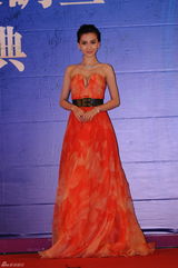 组图：电影华鼎奖红毯刘德华范冰冰等群星助阵