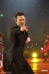 组图：刘德华“体力派”演唱会 与黎明携手同台