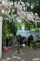 组图：张震婚礼现场布置曝光 全白桌椅吊饰唯美