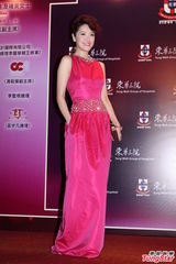 组图：东华三院慈善晚会 何超云陈法蓉性感亮相