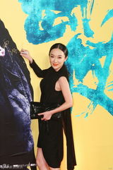 高清组图：《武侠》首映 甄子丹李宇春等现身