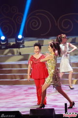 香港办文艺晚会庆国庆 霍震霆称不办百日宴(图)