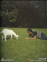 策划：继续宠爱张国荣11周年 光影瞬间定格