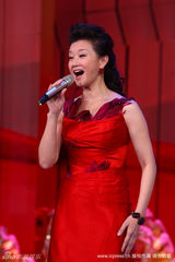 幻灯图：春晚刘谦董卿再携手 老面孔占“半边天”