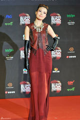 组图：MAMA红毯百张美图中韩明星争艳 韩彩英典雅